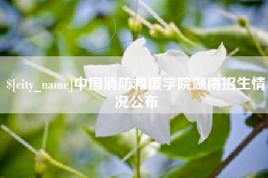 巢湖中国消防救援学院湖南招生情况公布
