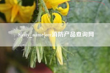 巢湖ccc消防产品查询网