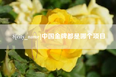 巢湖中国金牌都是哪个项目