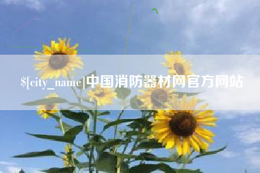 巢湖中国消防器材网官方网站