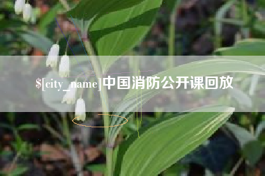 巢湖中国消防公开课回放