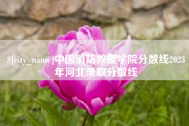 巢湖中国消防救援学院分数线2023年河北录取分数线