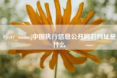 巢湖中国执行信息公开网的网址是什么