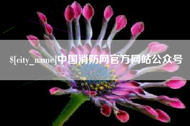 巢湖中国消防网官方网站公众号