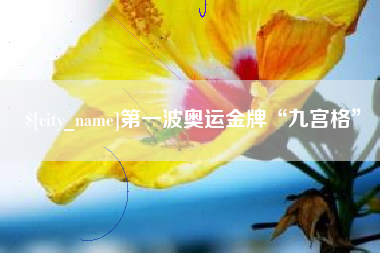 巢湖第一波奥运金牌“九宫格”