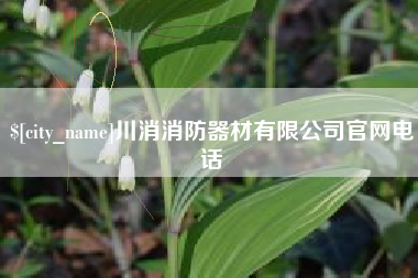 巢湖川消消防器材有限公司官网电话