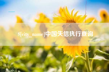 巢湖中国失信执行查询