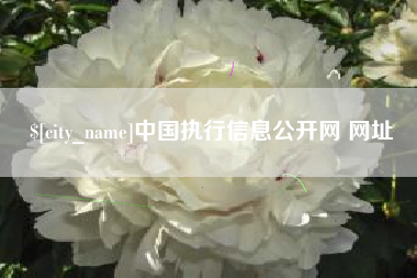 巢湖中国执行信息公开网 网址