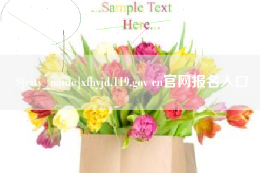 巢湖xfhyjd.119.gov cn官网报名入口
