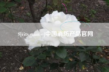 巢湖中国消防产品官网