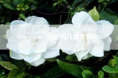 巢湖中国的几块金牌2021