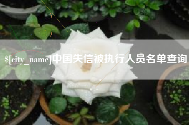 巢湖中国失信被执行人员名单查询