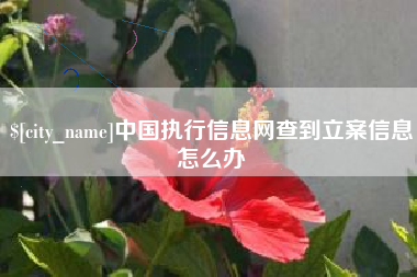 巢湖中国执行信息网查到立案信息怎么办