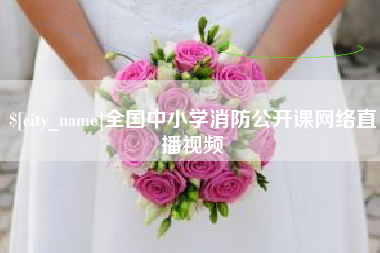 巢湖全国中小学消防公开课网络直播视频