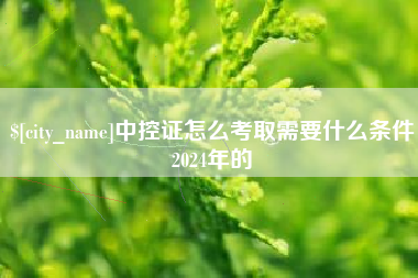 巢湖中控证怎么考取需要什么条件2024年的