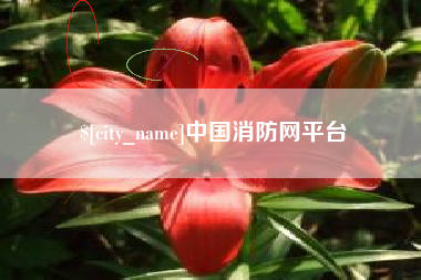 巢湖中国消防网平台
