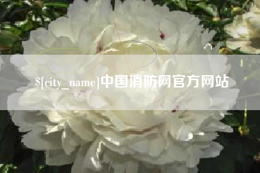 巢湖中国消防网官方网站