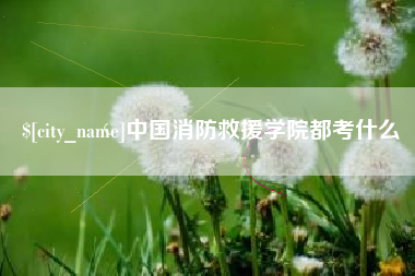 巢湖中国消防救援学院都考什么