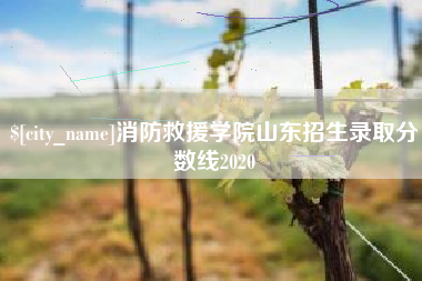 巢湖消防救援学院山东招生录取分数线2020