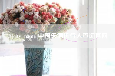巢湖中国失信执行人查询官网