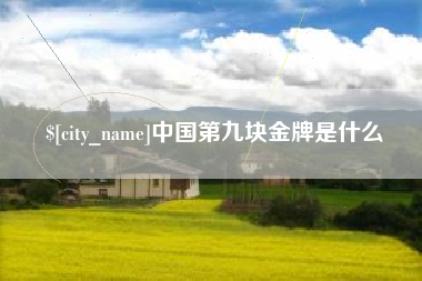 巢湖中国第九块金牌是什么