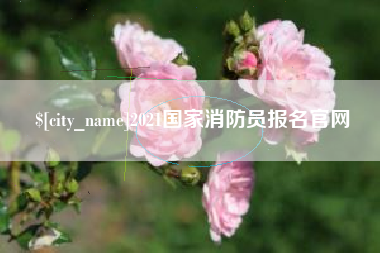 巢湖2021国家消防员报名官网