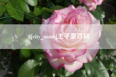 巢湖王子豪百科