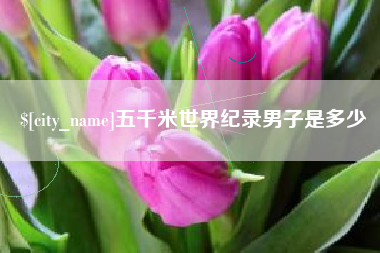 巢湖五千米世界纪录男子是多少