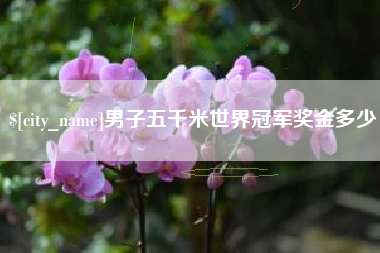 巢湖男子五千米世界冠军奖金多少