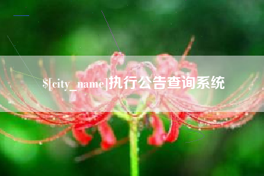 巢湖执行公告查询系统
