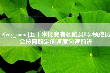 巢湖五千米比赛有领跑员吗-领跑员会按照既定的速度匀速前进