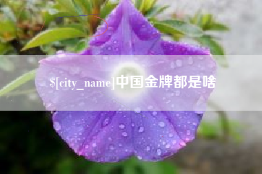 巢湖中国金牌都是啥