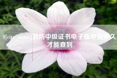 巢湖消防中级证书电子版查询多久才能查到