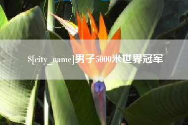 巢湖男子5000米世界冠军