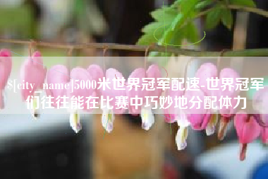 巢湖5000米世界冠军配速-世界冠军们往往能在比赛中巧妙地分配体力