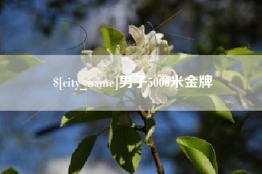 巢湖男子5000米金牌