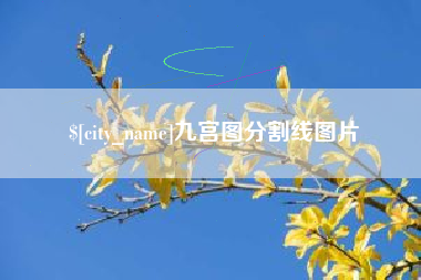 巢湖九宫图分割线图片