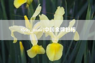 巢湖中国金牌包括