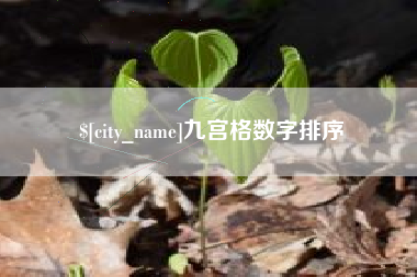 巢湖九宫格数字排序