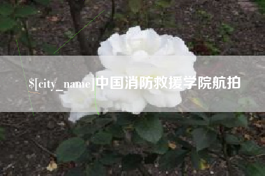 巢湖中国消防救援学院航拍