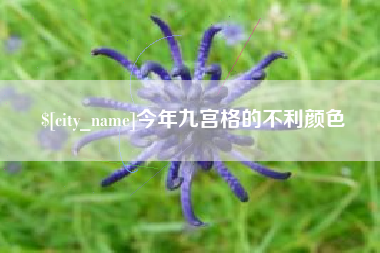 巢湖今年九宫格的不利颜色