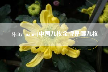 巢湖中国九枚金牌是哪九枚