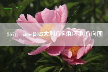 巢湖2025大利方向和不利方向图