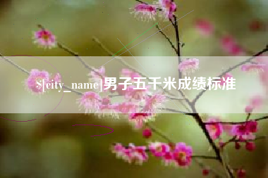 巢湖男子五千米成绩标准