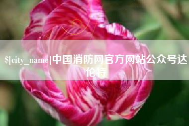 巢湖中国消防网官方网站公众号达伦特