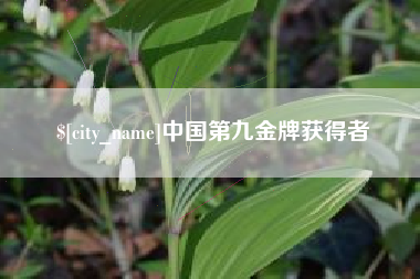 巢湖中国第九金牌获得者