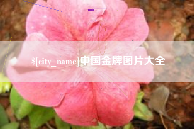 巢湖中国金牌图片大全