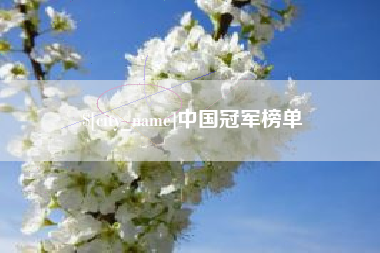 巢湖中国冠军榜单