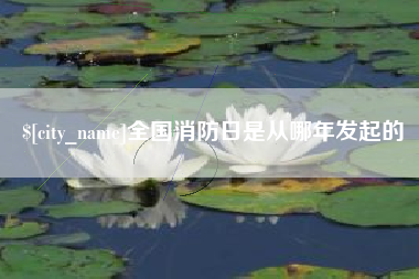 巢湖全国消防日是从哪年发起的