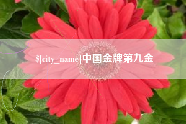 巢湖中国金牌第九金